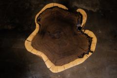  Costantini Design Carved Trunk Solid Exotic Wood Live Edge Table 39 from Costantini Francisco - 4511053