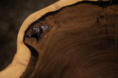  Costantini Design Carved Trunk Solid Exotic Wood Live Edge Table 39 from Costantini Francisco - 4511058