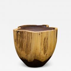  Costantini Design Carved Trunk Solid Exotic Wood Live Edge Table 39 from Costantini Francisco - 4511221