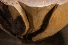  Costantini Design Carved Trunk Solid Exotic Wood Live Edge Table 40 from Costantini Francisco - 4511210