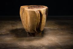  Costantini Design Carved Trunk Solid Exotic Wood Live Edge Table 40 from Costantini Francisco - 4511211