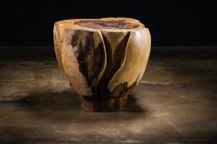  Costantini Design Carved Trunk Solid Exotic Wood Live Edge Table 40 from Costantini Francisco - 4511215