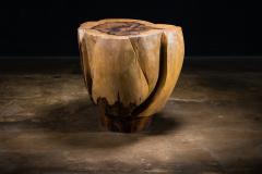  Costantini Design Carved Trunk Solid Exotic Wood Live Edge Table 40 from Costantini Francisco - 4511216