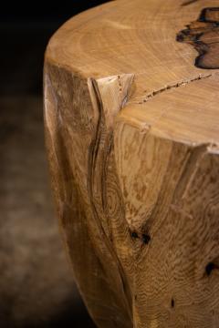  Costantini Design Carved Trunk Solid Exotic Wood Live Edge Table 40 from Costantini Francisco - 4511218