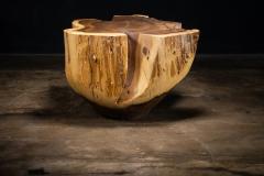  Costantini Design Carved Trunk Solid Exotic Wood Live Edge Table 41 from Costantini Francisco - 4511654