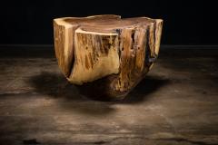  Costantini Design Carved Trunk Solid Exotic Wood Live Edge Table 41 from Costantini Francisco - 4511655