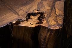  Costantini Design Carved Trunk Solid Exotic Wood Live Edge Table 41 from Costantini Francisco - 4511656