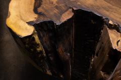  Costantini Design Carved Trunk Solid Exotic Wood Live Edge Table 41 from Costantini Francisco - 4511659