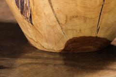  Costantini Design Carved Trunk Solid Exotic Wood Live Edge Table 42 from Costantini Francisco - 4512619