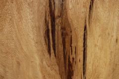  Costantini Design Carved Trunk Solid Exotic Wood Live Edge Table 42 from Costantini Francisco - 4512620