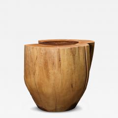  Costantini Design Carved Trunk Solid Exotic Wood Live Edge Table 42 from Costantini Francisco - 4512644