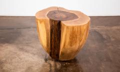  Costantini Design Carved Trunk Solid Exotic Wood Live Edge Table 42 from Costantini Francisco - 4534270