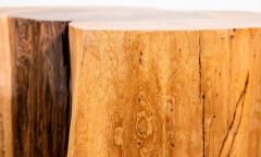  Costantini Design Carved Trunk Solid Exotic Wood Live Edge Table 42 from Costantini Francisco - 4534271