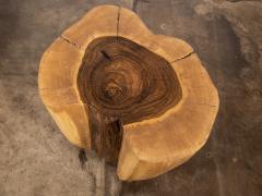  Costantini Design Carved Trunk Solid Exotic Wood Live Edge Table 42 from Costantini Francisco - 4534272