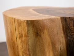  Costantini Design Carved Trunk Solid Exotic Wood Live Edge Table 42 from Costantini Francisco - 4534273