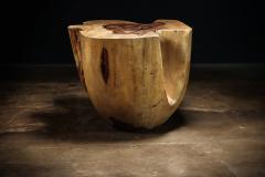  Costantini Design Carved Trunk Solid Exotic Wood Live Edge Table 43 from Costantini Francisco - 4511706