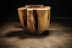  Costantini Design Carved Trunk Solid Exotic Wood Live Edge Table 43 from Costantini Francisco - 4511733