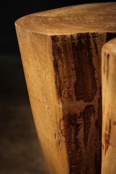  Costantini Design Carved Trunk Solid Exotic Wood Live Edge Table 43 from Costantini Francisco - 4511739