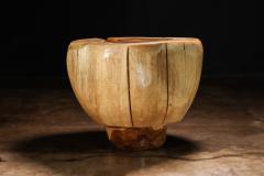  Costantini Design Carved Trunk Solid Exotic Wood Live Edge Table 44 from Costantini Francisco - 4511816