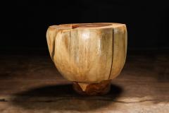  Costantini Design Carved Trunk Solid Exotic Wood Live Edge Table 44 from Costantini Francisco - 4511817