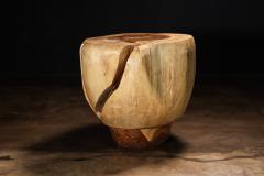  Costantini Design Carved Trunk Solid Exotic Wood Live Edge Table 44 from Costantini Francisco - 4511822