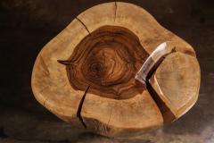  Costantini Design Carved Trunk Solid Exotic Wood Live Edge Table 44 from Costantini Francisco - 4511825