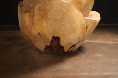  Costantini Design Carved Trunk Solid Exotic Wood Live Edge Table 45 from Costantini Francisco - 4511834