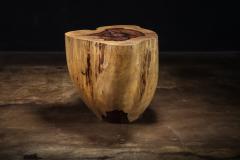  Costantini Design Carved Trunk Solid Exotic Wood Live Edge Table 46 from Costantini Francisco - 4511866