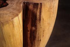  Costantini Design Carved Trunk Solid Exotic Wood Live Edge Table 46 from Costantini Francisco - 4511870
