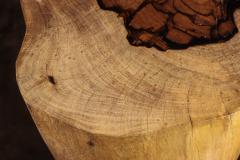  Costantini Design Carved Trunk Solid Exotic Wood Live Edge Table 46 from Costantini Francisco - 4511873
