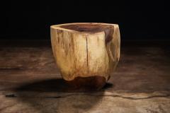  Costantini Design Carved Trunk Solid Exotic Wood Live Edge Table 47 from Costantini Francisco - 4511891
