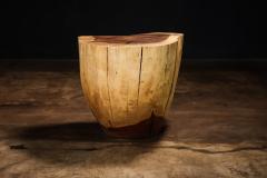  Costantini Design Carved Trunk Solid Exotic Wood Live Edge Table 47 from Costantini Francisco - 4511895