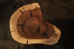  Costantini Design Carved Trunk Solid Exotic Wood Live Edge Table 47 from Costantini Francisco - 4511898