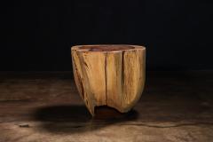  Costantini Design Carved Trunk Solid Exotic Wood Live Edge Table 48 from Costantini Francisco - 4511919