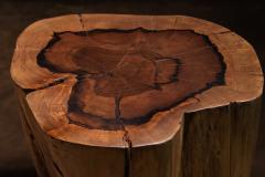  Costantini Design Carved Trunk Solid Exotic Wood Live Edge Table 48 from Costantini Francisco - 4511921