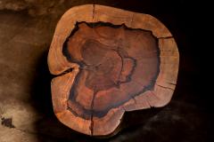  Costantini Design Carved Trunk Solid Exotic Wood Live Edge Table 48 from Costantini Francisco - 4511922