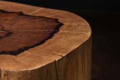  Costantini Design Carved Trunk Solid Exotic Wood Live Edge Table 48 from Costantini Francisco - 4511923