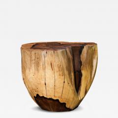  Costantini Design Carved Trunk Solid Exotic Wood Live Edge Table 49 from Costantini Francisco - 4512645