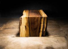  Costantini Design Exotic Wood Live Edge Waterfall Coffee Table from Costantini Carlo In Stock  - 2387061