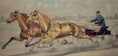  Currier and Ives 19th C Currier Ives lithograph Celebrated Trotting Team Edward Swiveller  - 2731675