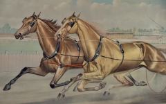  Currier and Ives 19th C Currier Ives lithograph Celebrated Trotting Team Edward Swiveller  - 2731696