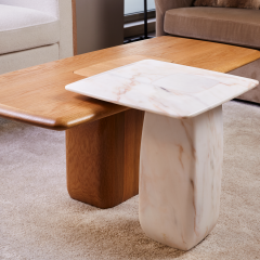  DUISTT Bossa Marble Side Table - 2897059