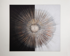  Diaz Hengst Burst 2023 - 3148166