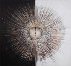  Diaz Hengst Burst 2023 - 3149852