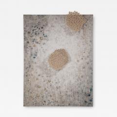  Diaz Hengst Weightless II 2023 - 3154060