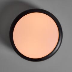  Disderot 1950s Pierre Guariche Model G20 Ceiling Lamp for Disderot - 4104945