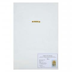  Diyana Double Owl Helmet Gold and Platinum Leaf Relief by Diyana - 4752546