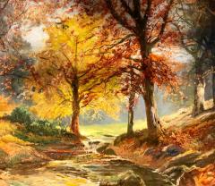  Early Autumn Bronxville Woods  - 886968