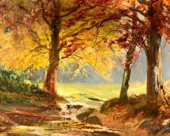 Early Autumn Bronxville Woods  - 886970