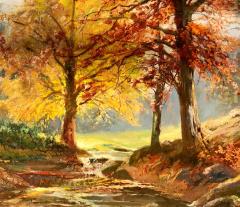  Early Autumn Bronxville Woods  - 886971